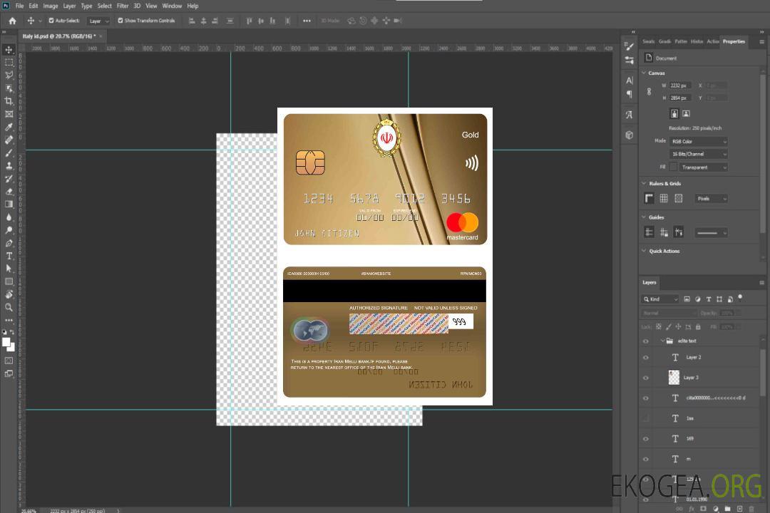 Iran Melli Bank mastercard or template